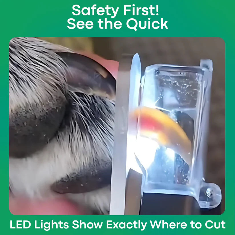 Never Cut the Quick Again. The LED Pet Nail Grinder.